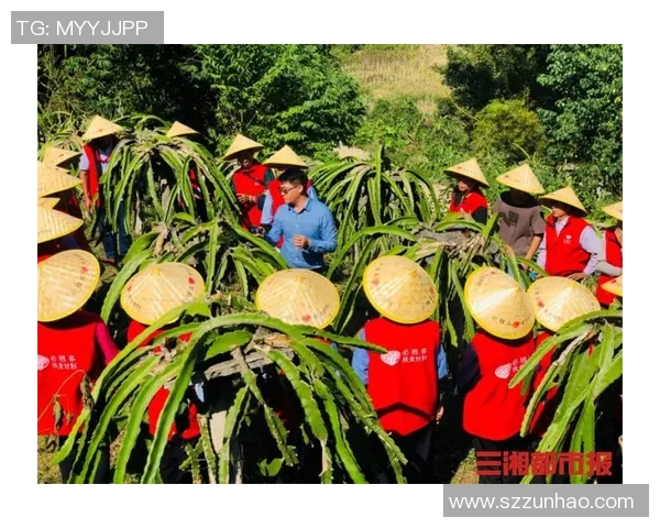 姚明深入农村考察推动乡村振兴助力农民发展新机遇